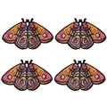 PE18017CT