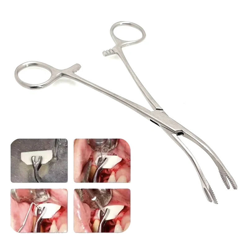 

Стоматологические щипцы для прививки костей, хирургические плоскогубцы для манипуляции и процесса имплантатов с костным фрагментом