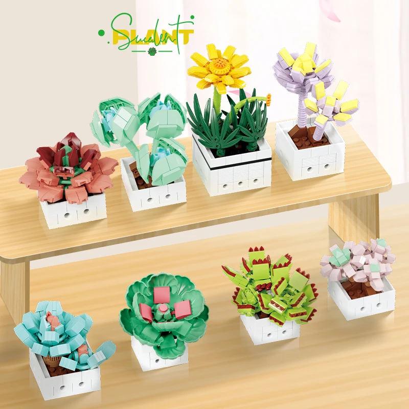 Plantes en pot succulentes pour la décoration de la maison, bouquets de fleurs pour adultes, blocs de construction, collection de plantes