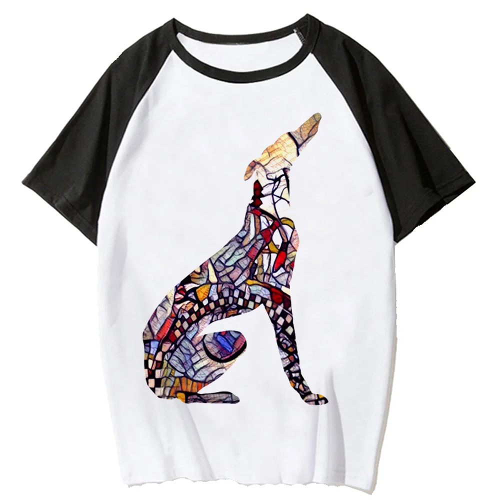 Greyhound top women summer anime Y2K tshirt female funny designer anime clothes