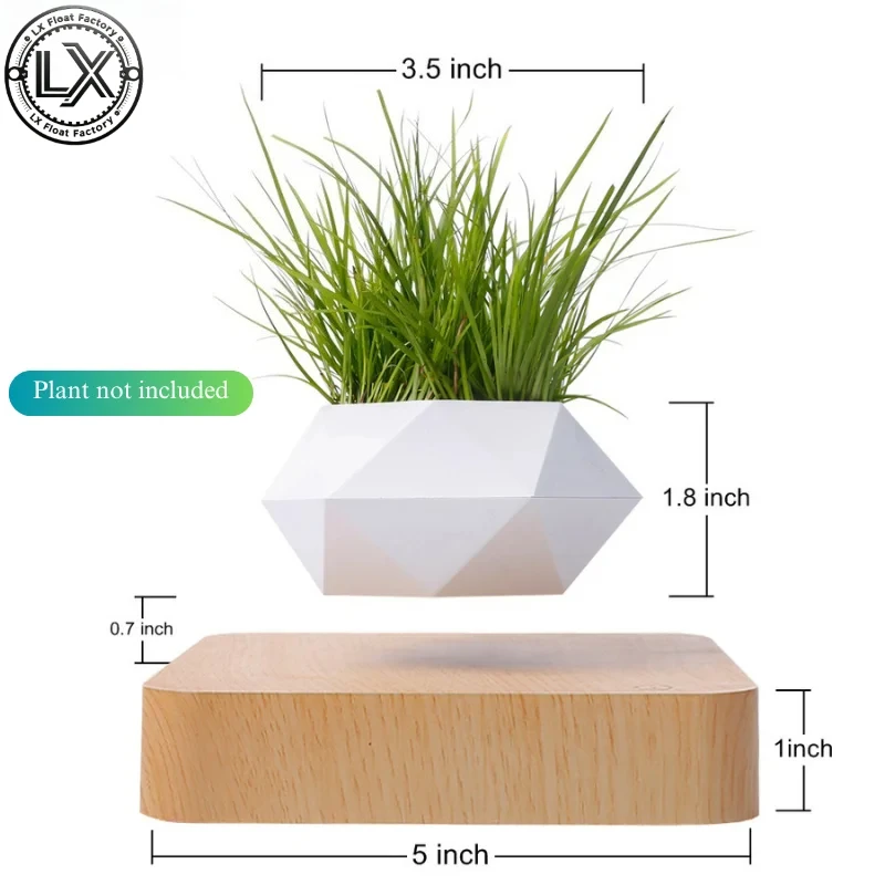 Levitating Plant Pots Floating Hanging Planter for Small Plants. Elevate Your Space Level