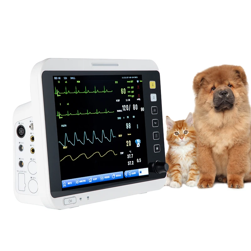 

Multiparameter Veterinary vet Pressure Pets Pet Health