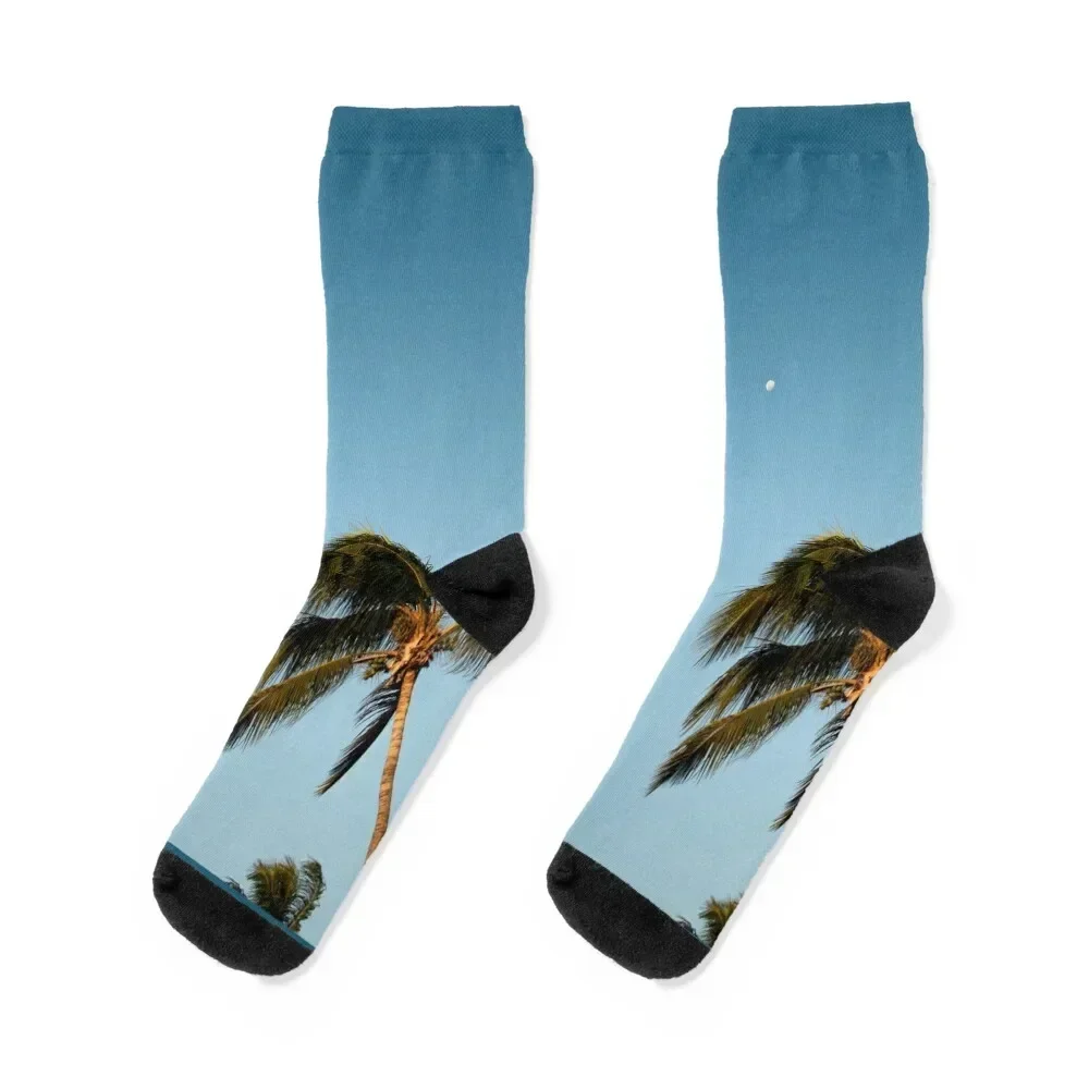 Palm Trees Socks Argentina hip hop moving stockings halloween Socks Male Women's