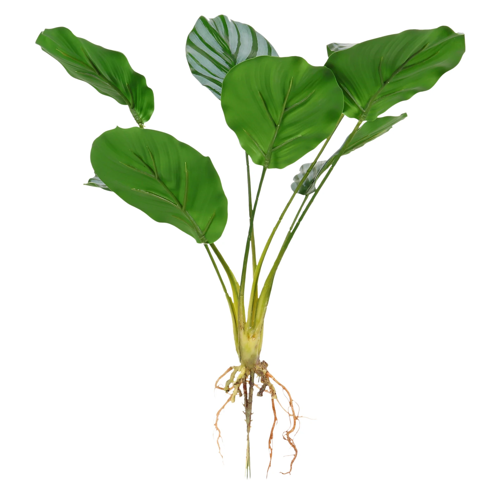 

1pc Simulation Calathea Plant Artificial Green Plant Decor Desktop Mini Bonsai Ornament Potted Bonsai Decoration