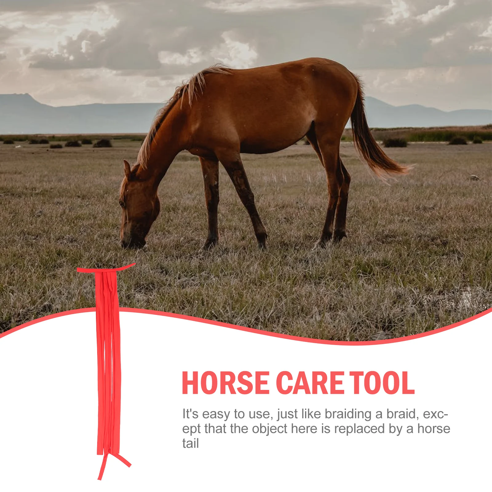 Рисунок 3 - Защитная пленка для конского хвоста