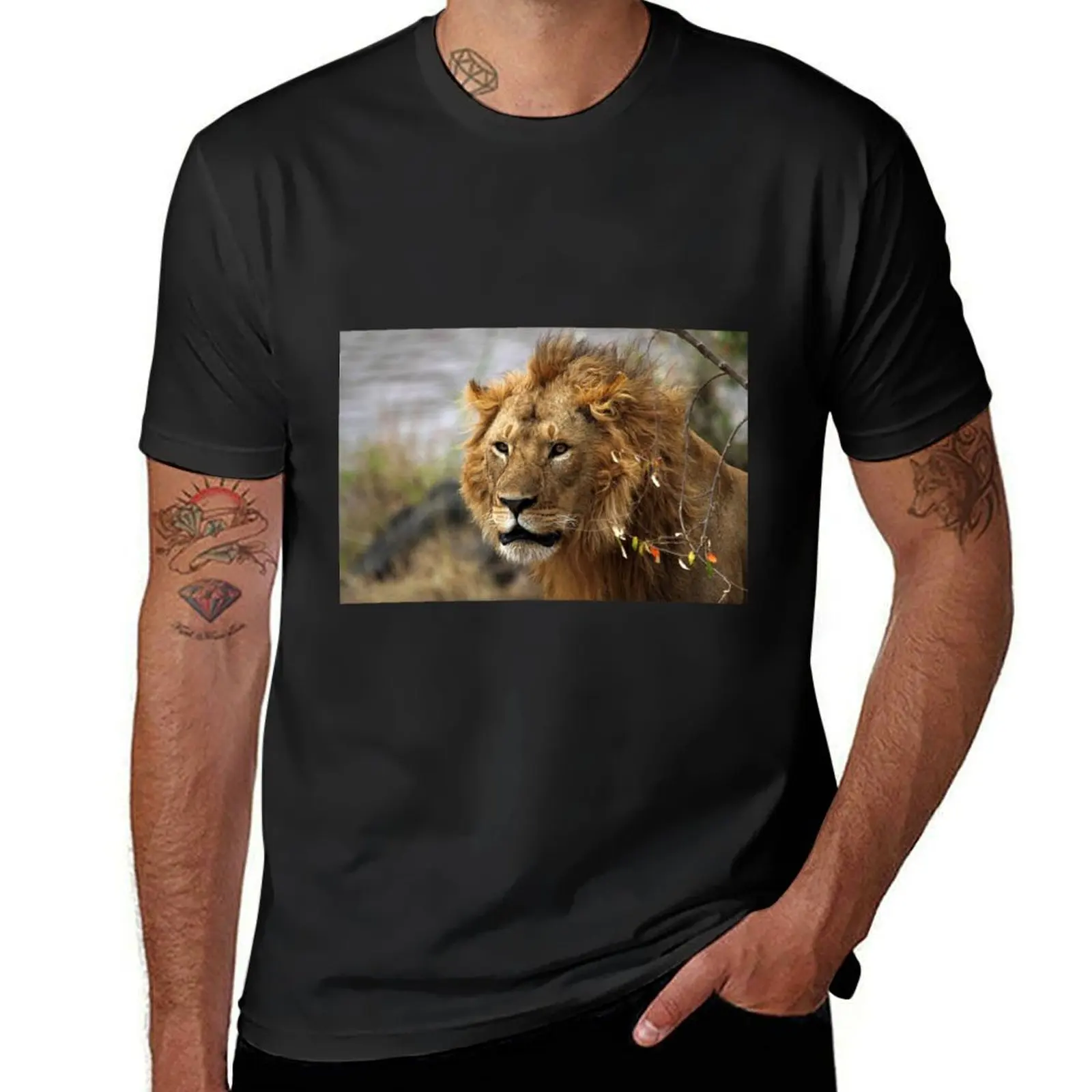 Cat: Large Male Lion Looking Intently as He Comes Out of the Bush, Maasai Mara, Kenya T-Shirt plain mens cotton t shirts