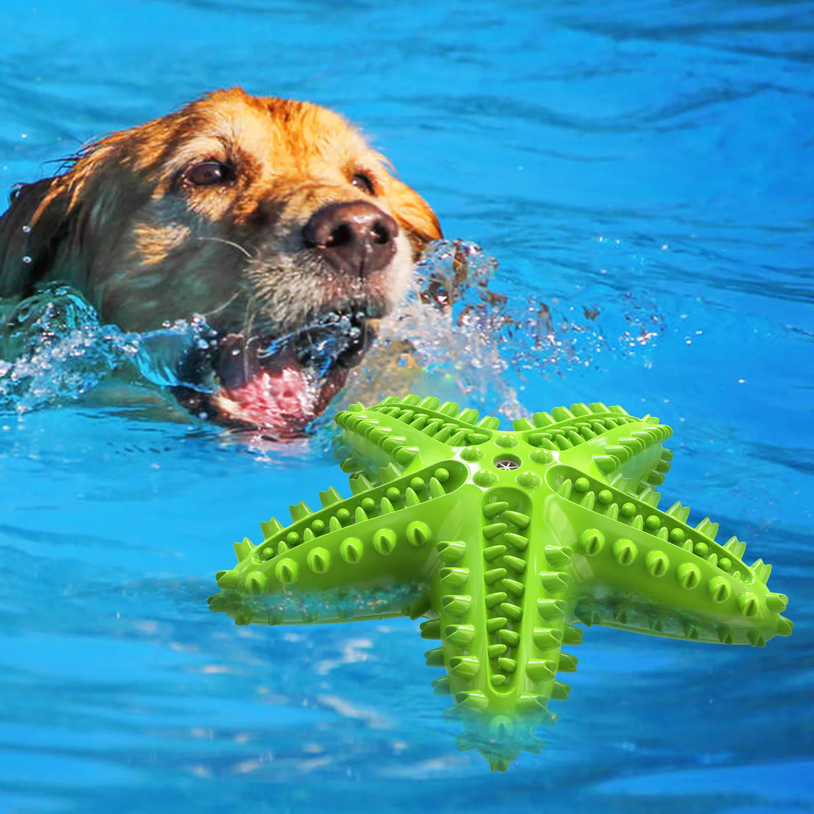 

New Explosions Sound Starfish Bite-resistant Wear-resistant Dog Toy Tooth Cleaning Leak Dog Toothbrush Toy