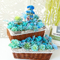 Blue Flocking Artificial Succulents Plants Desktop Bonsai Christmas Halloween Decoration Fake Plants DIY Wedding Plants Wall