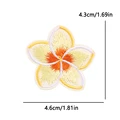 PE17080CT