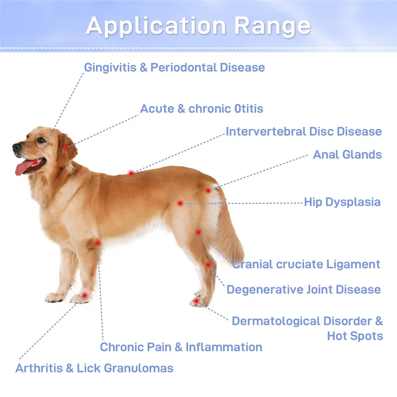ABUU-Ręczny przenośny laser na podczerwień do terapii światłem czerwonym, urządzenie do terapii laserowej na zimno dla ludzi i zwierząt, łagodzące ból mięśni i stawów