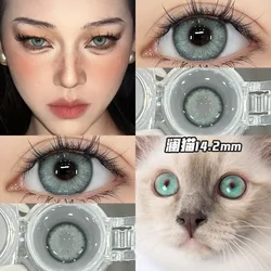 OVOLOOK-1 Pair Blue Contact Lenses Colored Eyeglass Lenses Pupils Myopia Eye Color Lenses 10 Tone Grey Brown Green Lens for Eyes