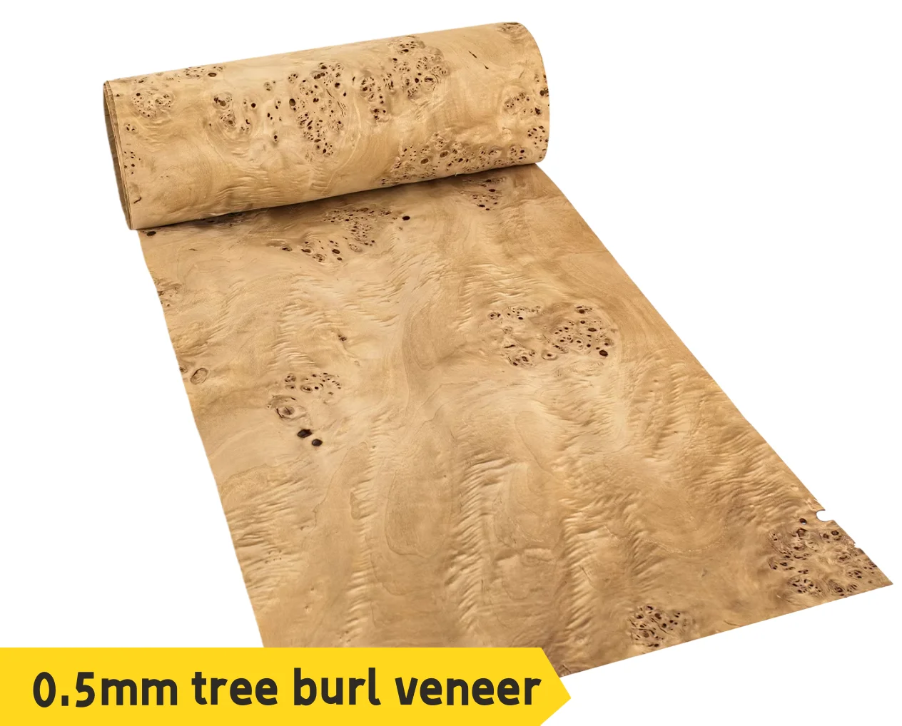 

Thickness:0.5mm Natural Poplar Burl Wood Veneer Guitar Body Veneer DIY Wookworking Decorative Material