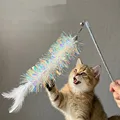 Colorful feather