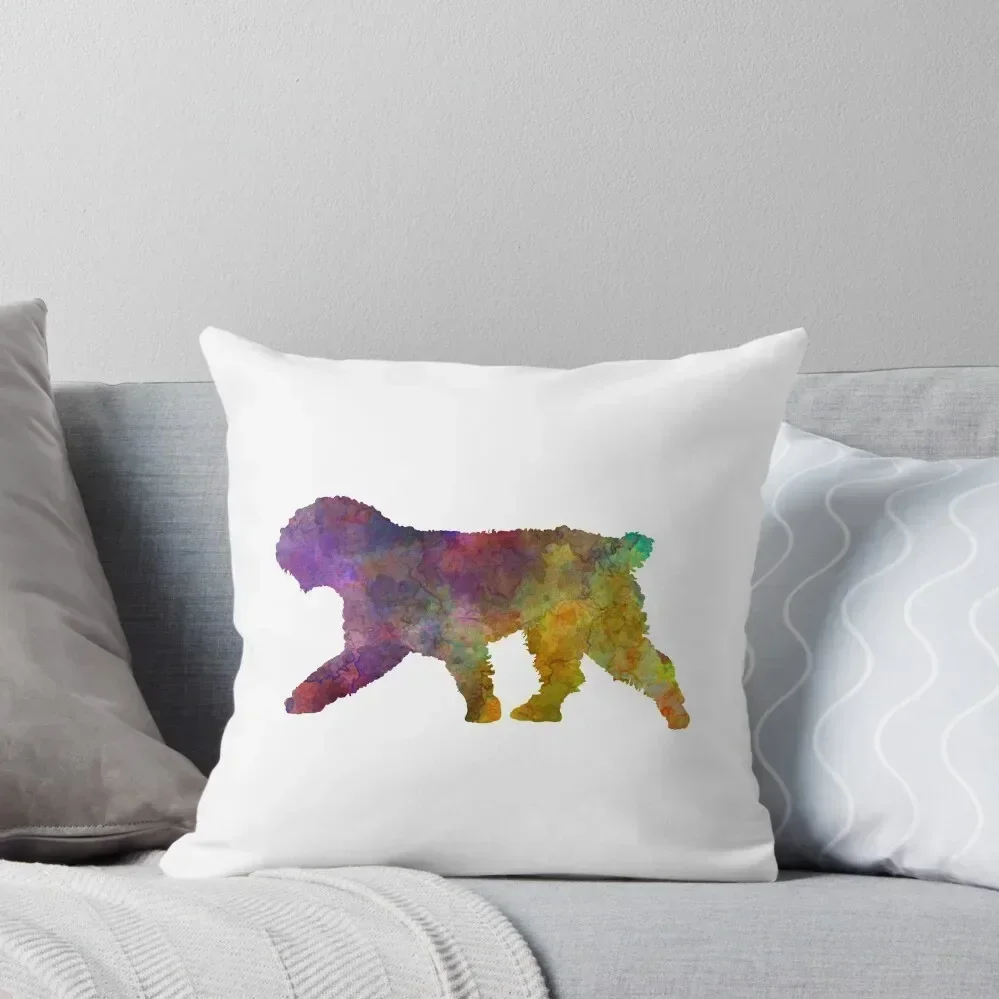 

Spanish Water Dog in watercolor Throw Pillow home decor items Sofa Pillow Cover Cushions For Sofa pillow