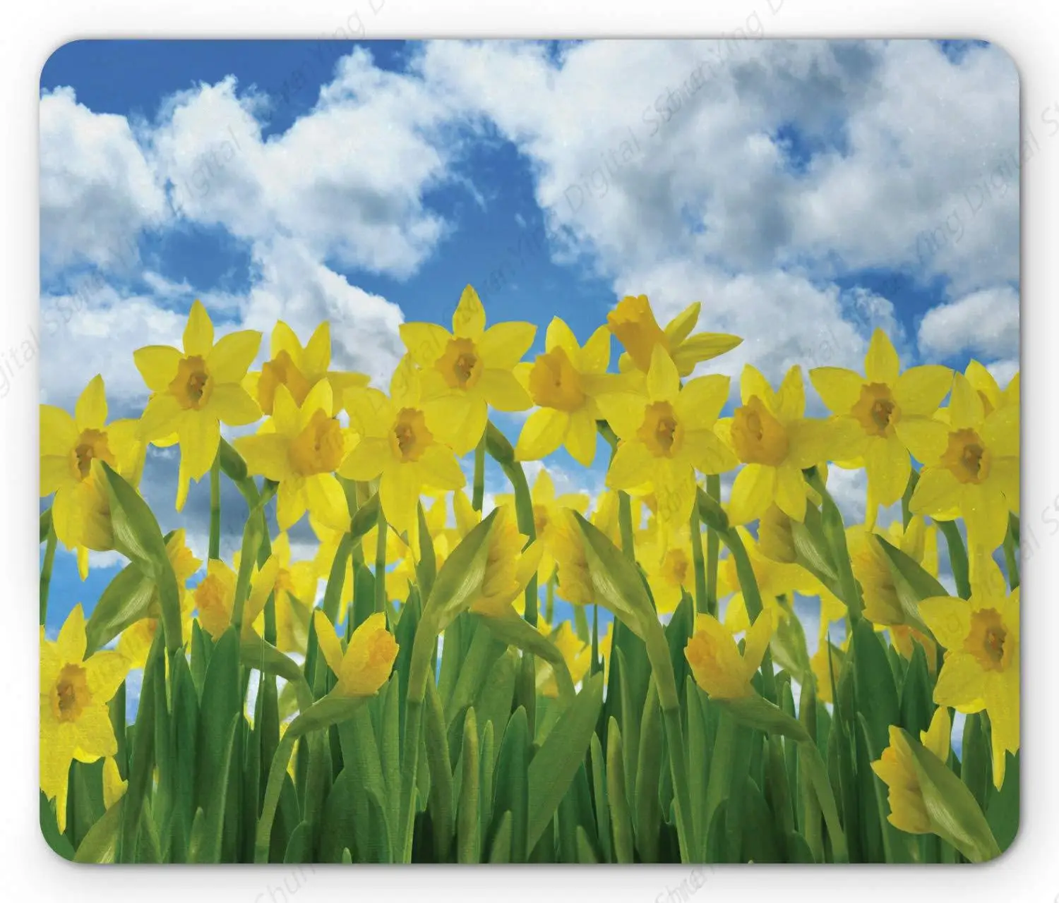 Narcissus Mouse Pad Narcissus Anti Slip Rubber Gaming Office Mouse Pad For Summer Sky And Cloud Scene Images