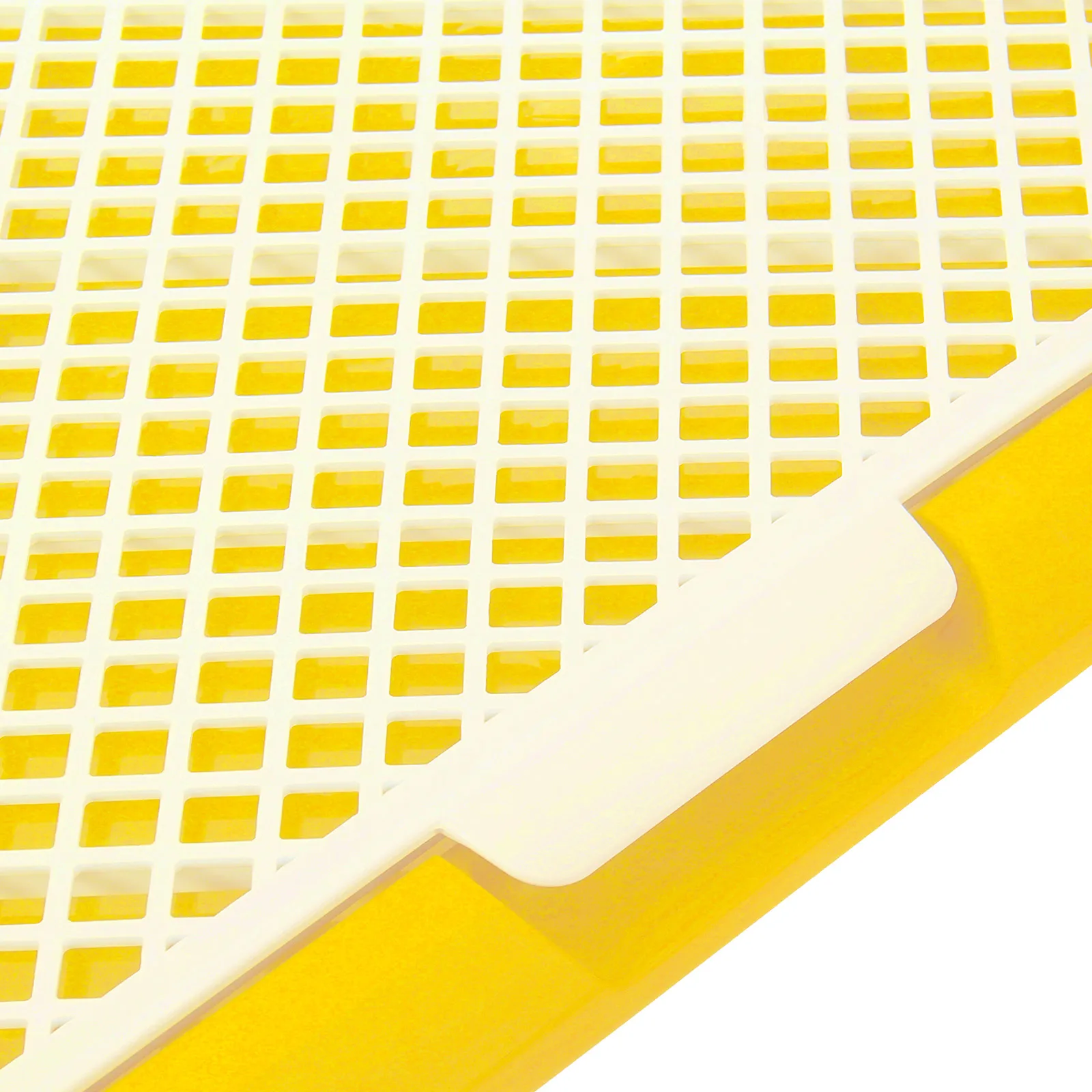 

Dog Toilet for Small Large Dogs Blue Plastic Potty Tray Easy Splashproof Pet Pee Indoor Supplies Training Puppy Dog