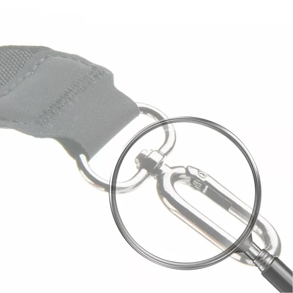 Removable Carrying …