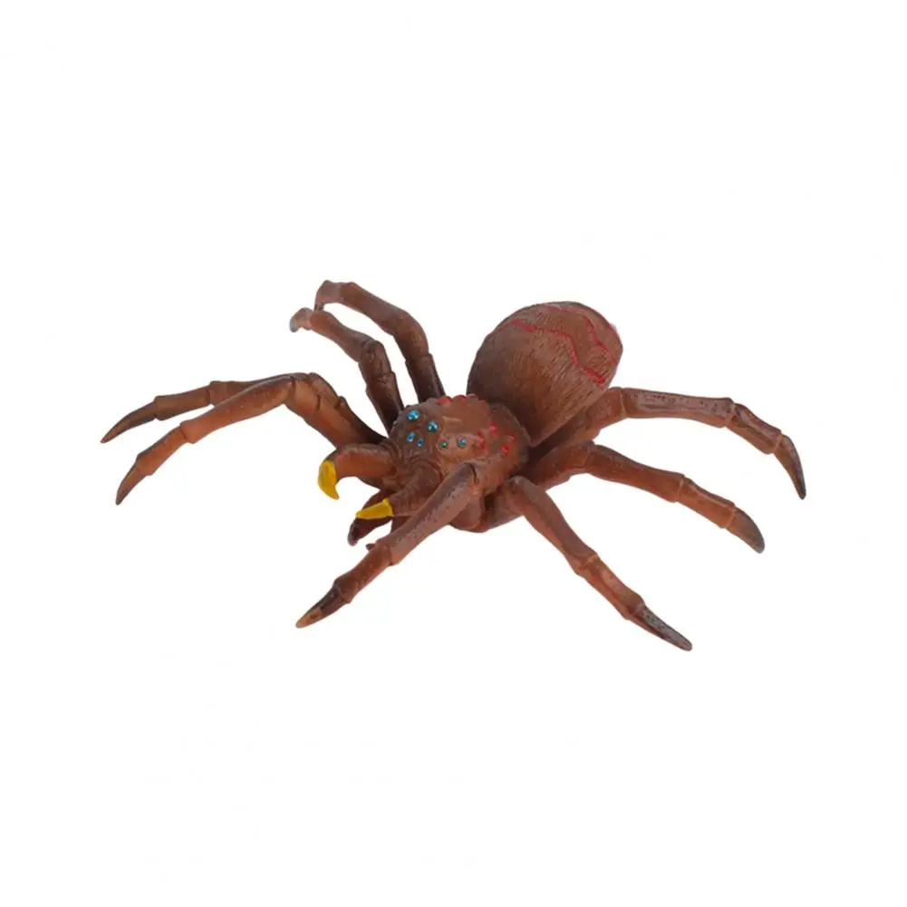 Realistic Spider Decoration Realistic Pvc Spider Figurine Ornament for Halloween Home Decoration Science Education Learning Toy