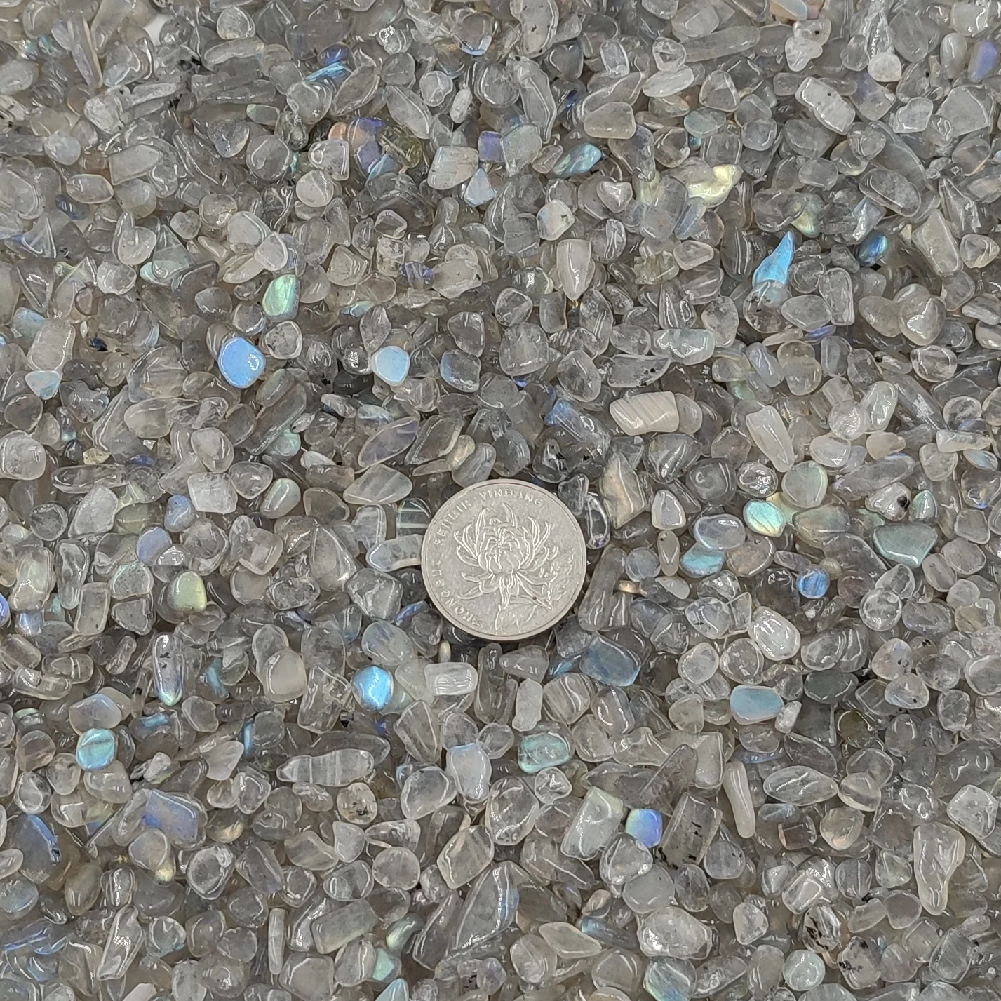 Natural Stone Labradorite Grey Moonstone Chip Gravel Crystals Stones Healing Mineral Gemstone Home Decoration Spiritual Products view 5