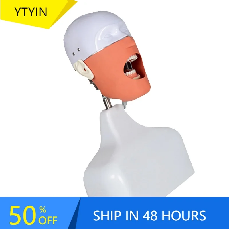 YTYIN نموذج التدريس كبار القزم فانتوم نموذج لممارسة التدريب #1