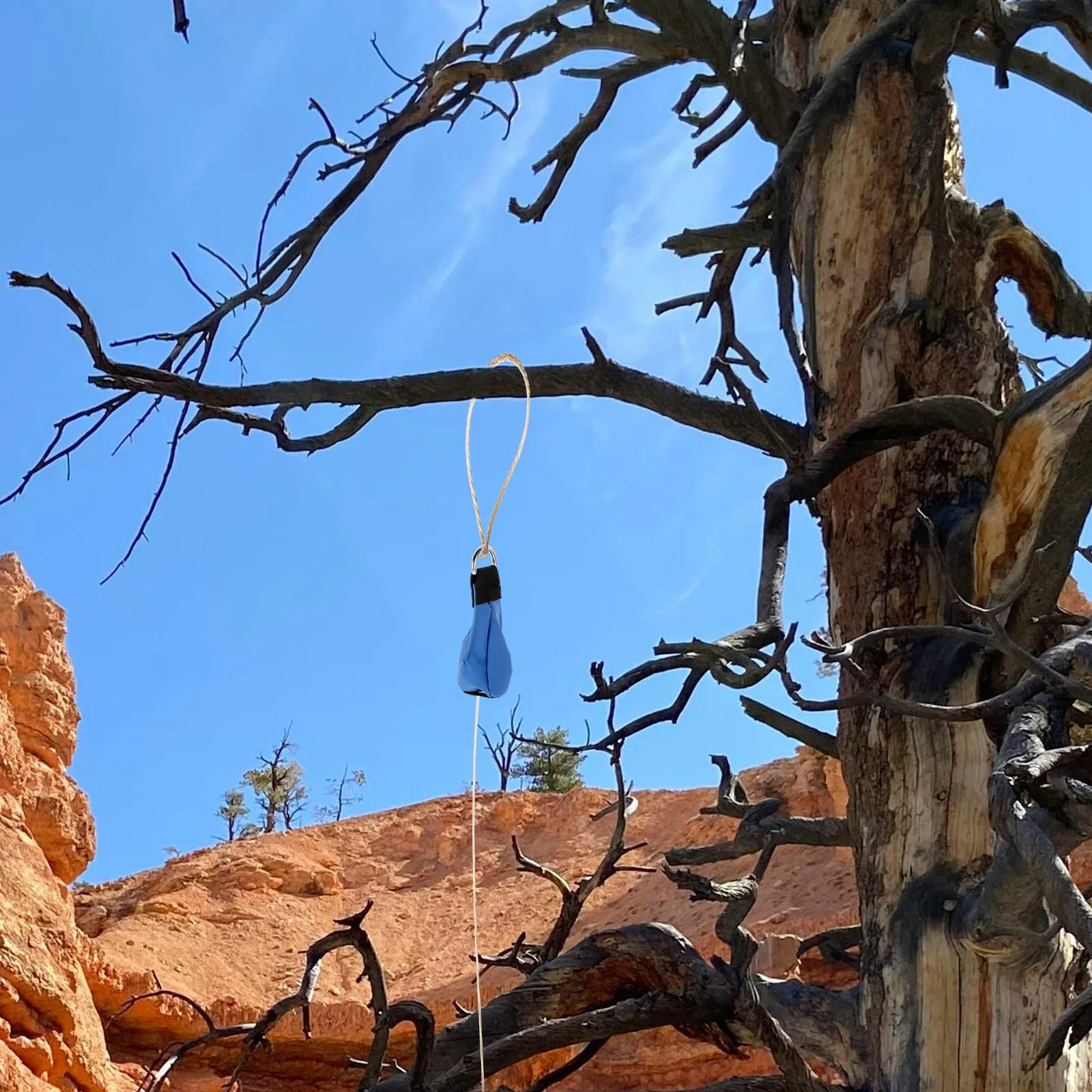 

Portable Throwing Ropes Bag Small Climbing Gear Multifunction Arborist Equipment Tearresistant Hightensile Strength