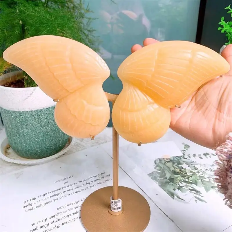 

Natural Yellow Calcite Butterfly Wings Carving Crystal Crafts Healing Gemstone Girl Birthday Present Home Decoration 1pair