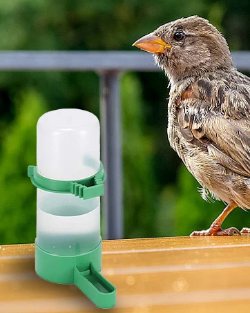 Water Feeder