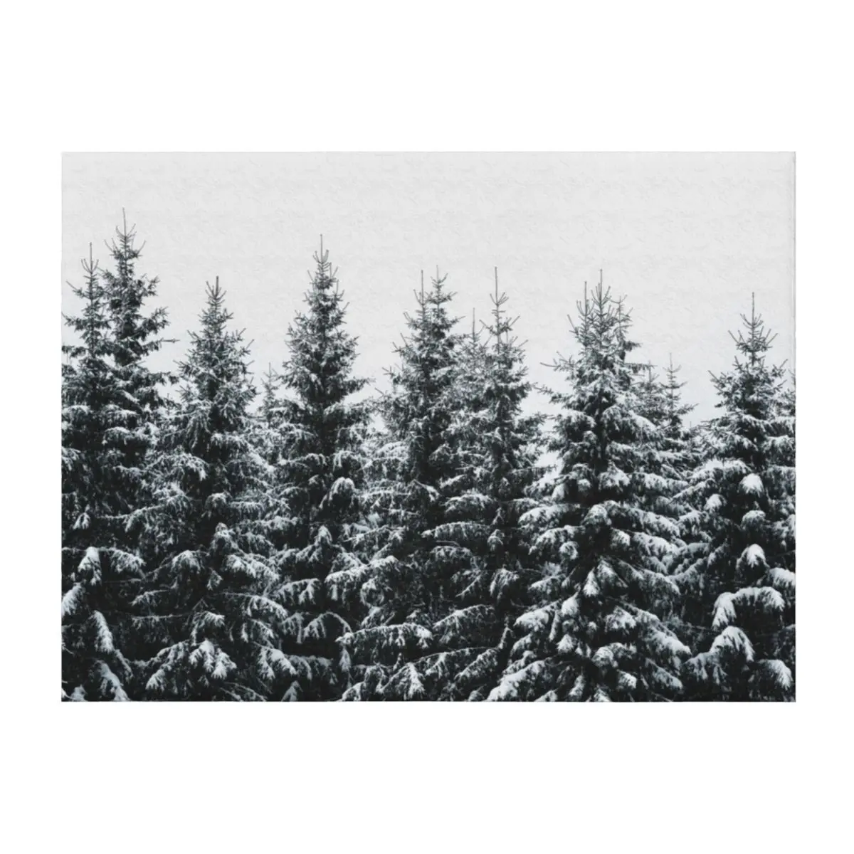 

The White Bunch Throw Blanket Summer Beddings Decorative Sofas Polar Decorative Throw Blankets
