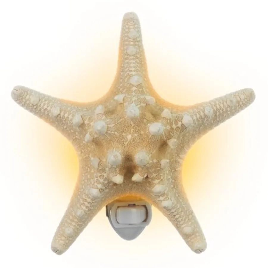 Real Night Light Beach Night Light with Shell Light for Bathroom Sea Shell Lamp Seashell Lamp Plug Into Wall