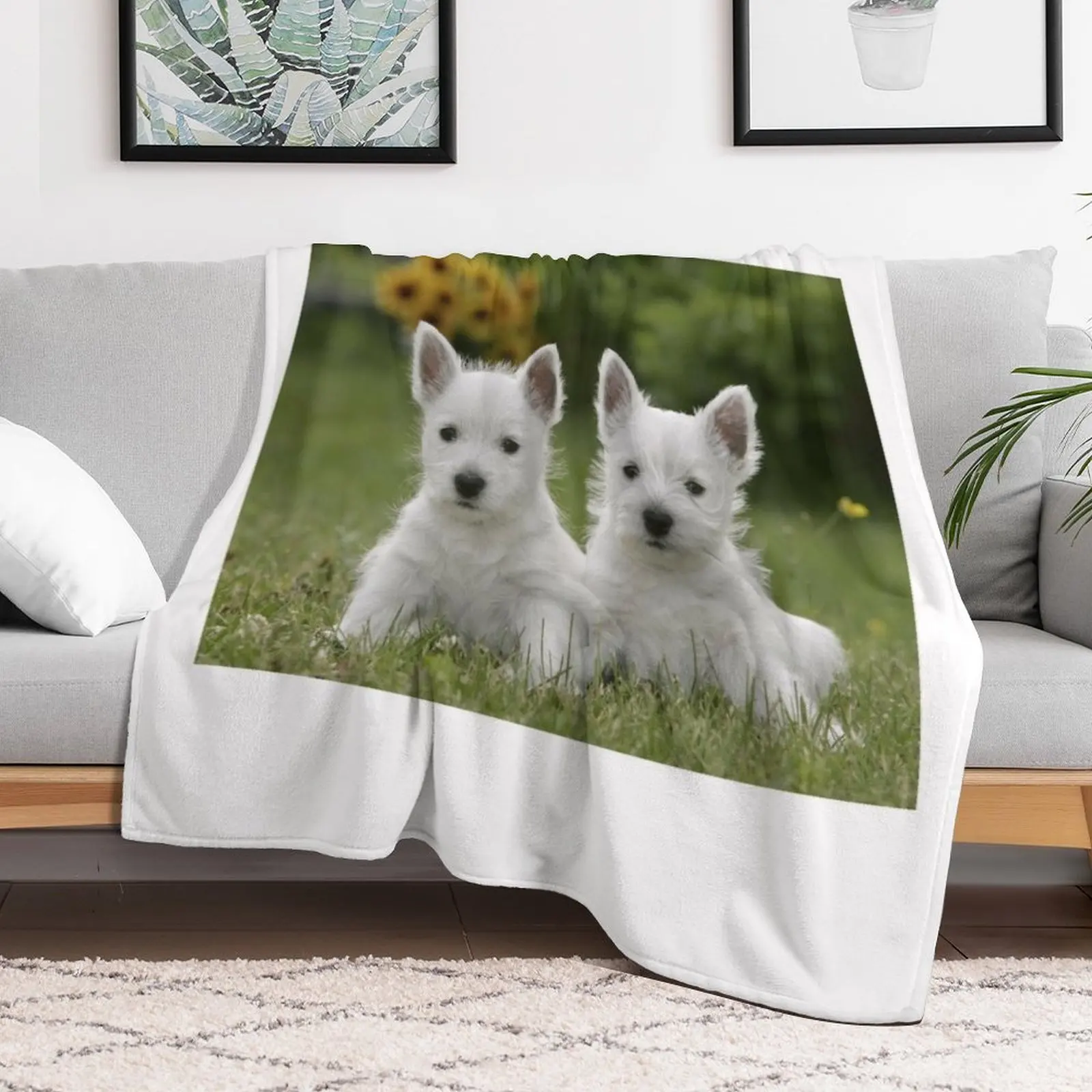 West Highland Terrier Westie Puppies Throw Blanket Warm Comfortable Blanket Gift for Parents Friends