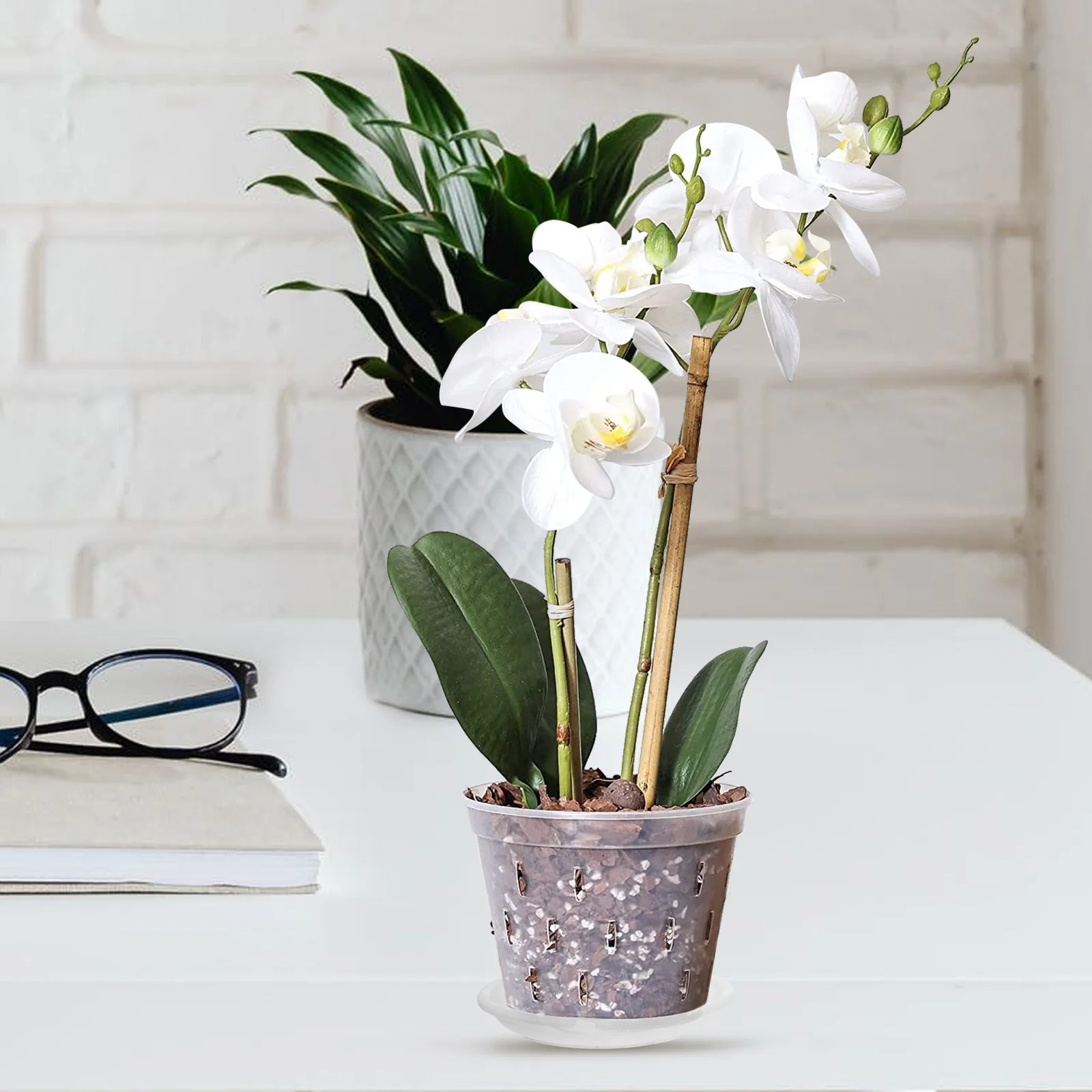 Phalaenopsis Hard Planting Cup Planter Container Pot Creative Plastic Flowerpots Breathable Cups