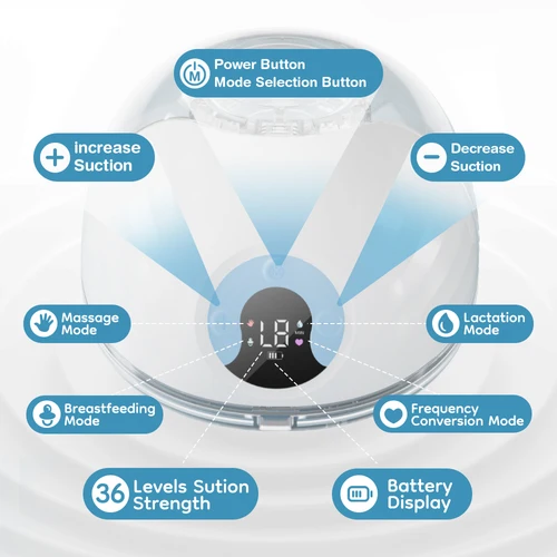 הריון והלידה