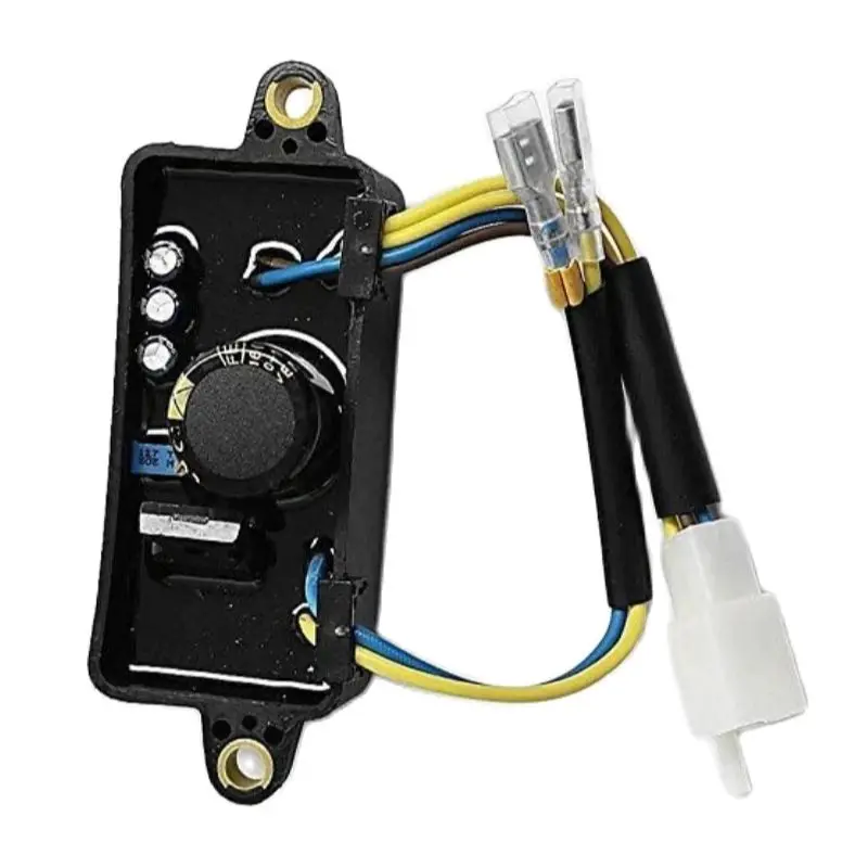 2000 Watt 2500 Watt 2800 Watt 3000 Watt Generator AVR Automatischer Spannungsregler Gleichrichter 2 KW 2,5 KW 2,8 KW 3 KW Gasgenerator