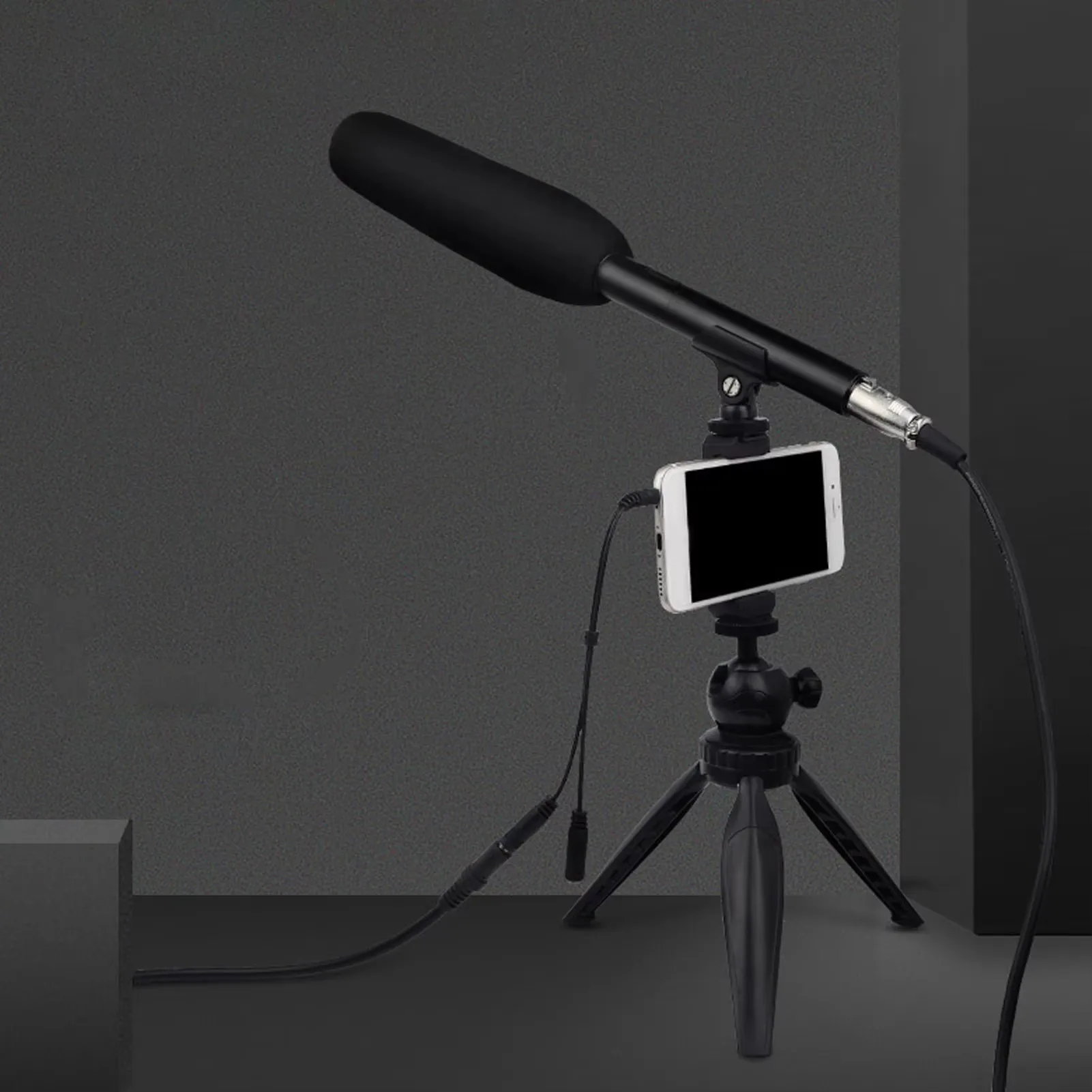 Professional XLR Shotgun WIRED Condenser Microphone Cardioid Mini Interview Mic for Television News Reporters And Speakers