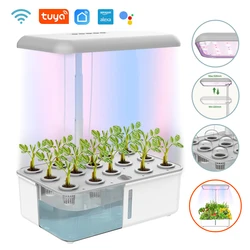 WIFI Hydroponics Growing System Hydroponic Cultivator Garden Vegetables Flowers Herb Grow Kit with LED Grow Light Planter 14-POT