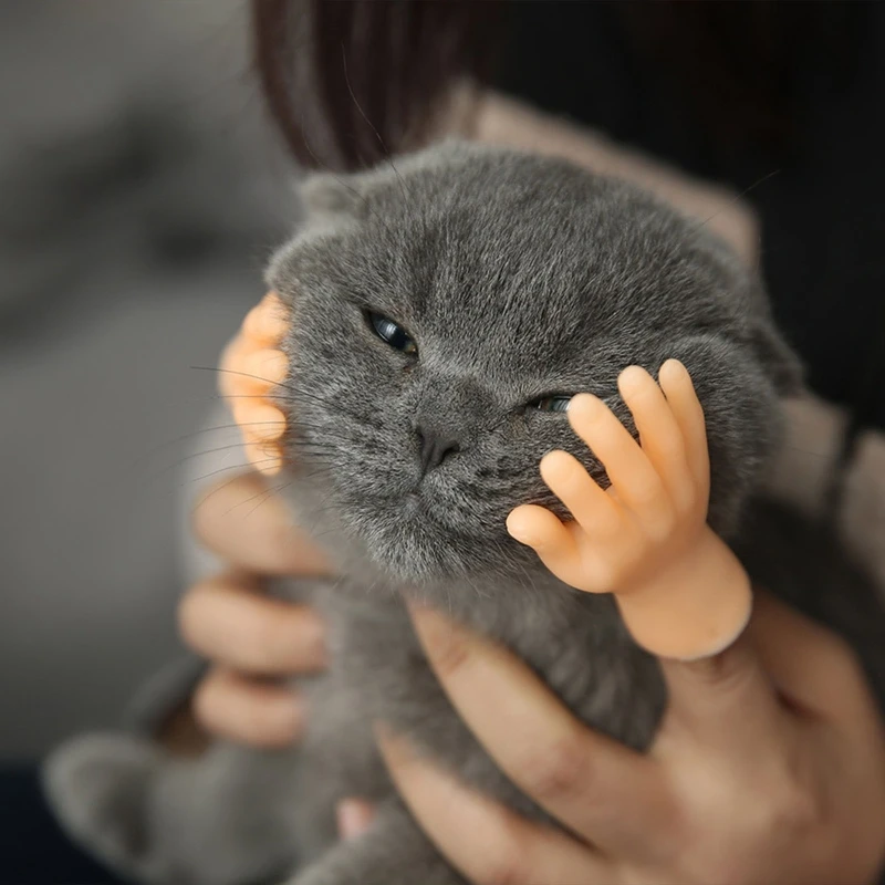 Grappige vingerpop Mini Hand Praktische grap rekwisieten voor katten- en hondenplagen