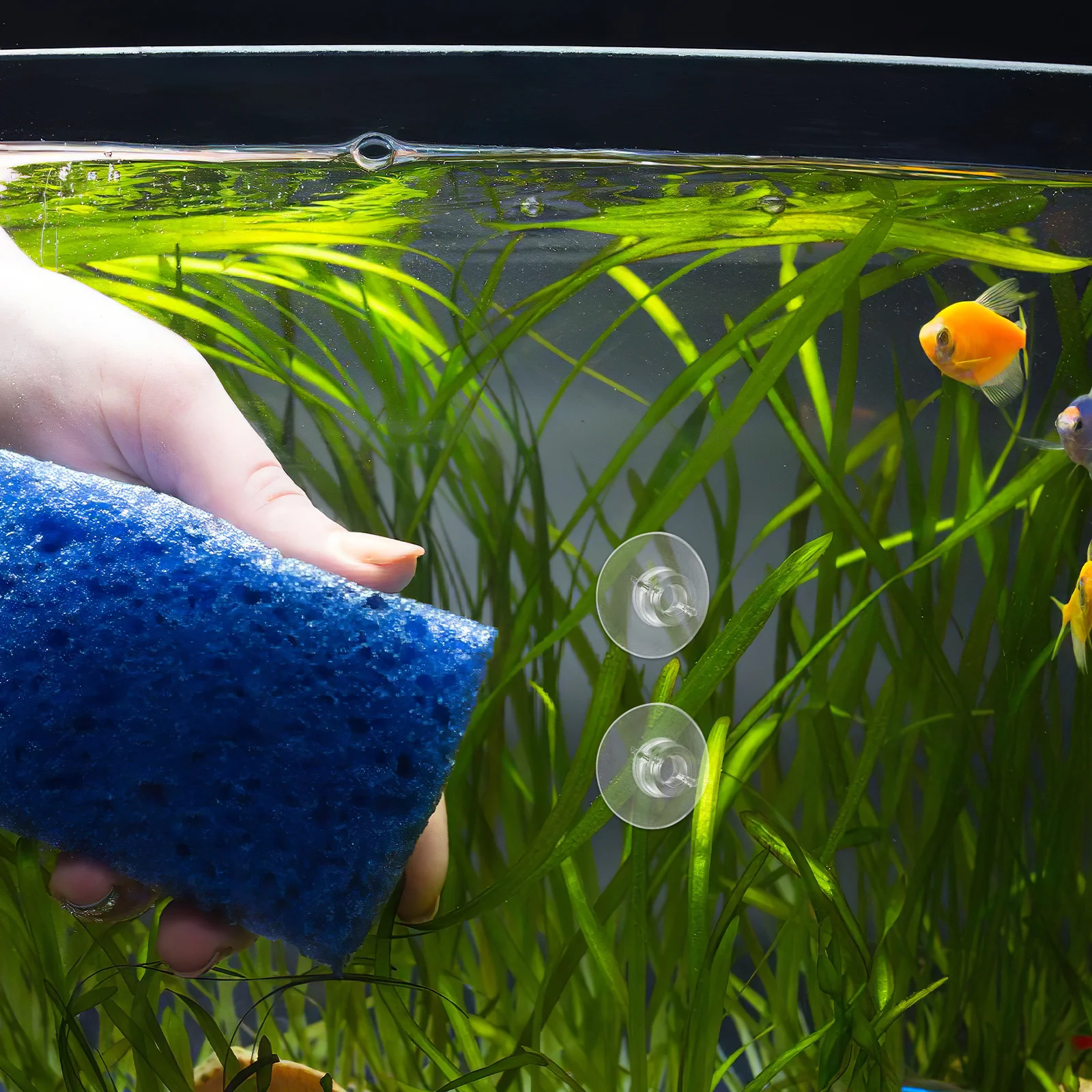 

20Pcs Aquarium Suction Cups Transparent Plant Holder Secure Aquarium Decorations Fish Tank Airline Tubing Suction Clips