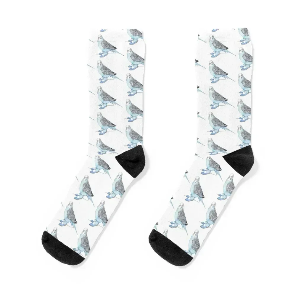 Budgie in Blue 2-toned wingtips Socks sport hockey christmas stocking football Luxury Woman Socks Men's