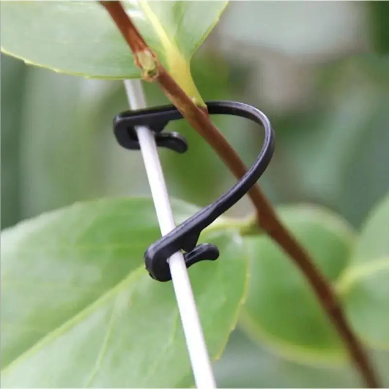 50PCS Garden Plant Ties For Grapes Vine Binding Tape Adjustable Support Clips Gardening Fixing Strap Tools