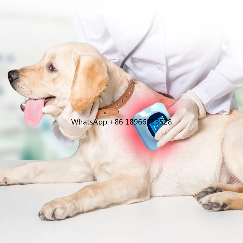 Dropshipping OEM ODM Accept Medical Grade Cold Laser Therapy Device for Dogs Pain Relief Anti Inflammatory