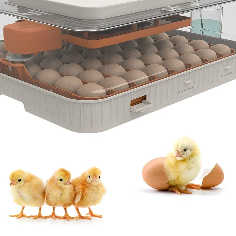 Automatic Humidity Control 56 Egg Hatcher Egg Incubator  Incubator Automatic