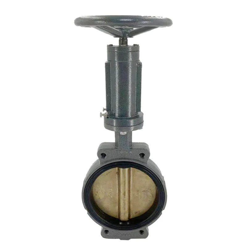 

Marine Center Worm Butterfly Valve, Stainless Steel Plate Turbine Head Fittings