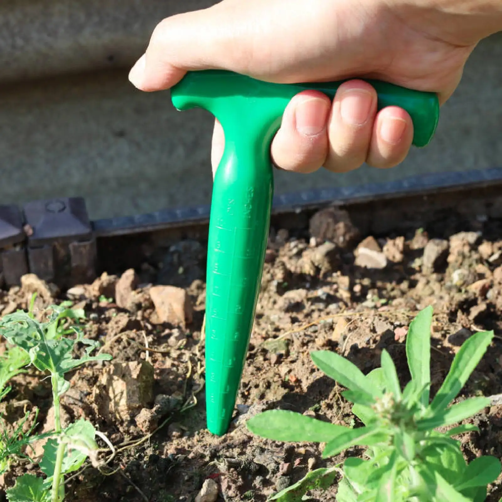 

Sow Dibbler Bulb Planting Tool Hole Punch Garden Supplies Green with Scale