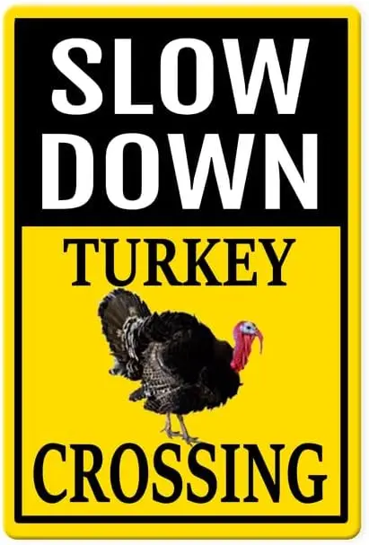 E1,Slow Down Sign, …