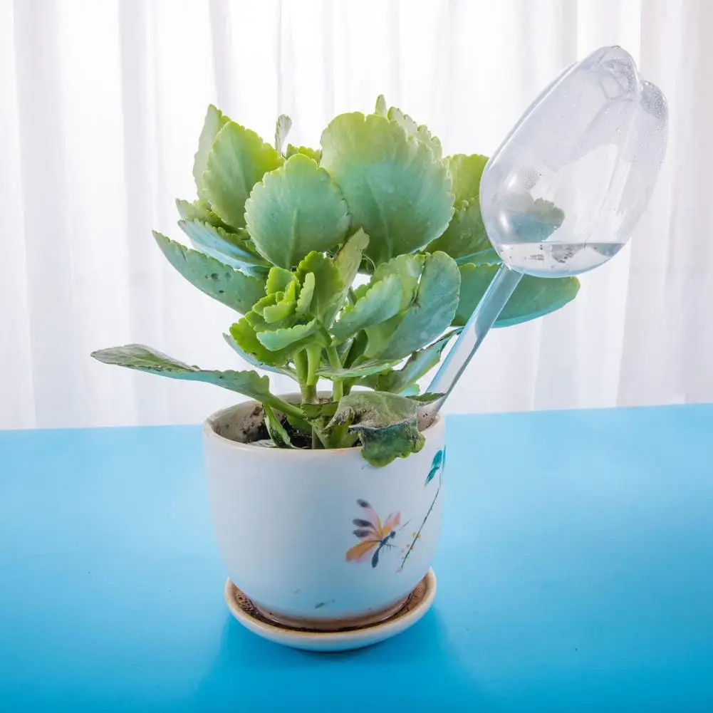 Tulip Watering Ball Automatic Self-watering Tulip Plant Bulbs for Indoor Outdoor Plants Plastic Planter Inserts with Prolonged