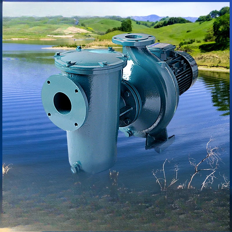 Cast Iron Industrial Engineering Supporting Spa Sauna Bathtub Self-priming Swimming Pool Circulation Pump