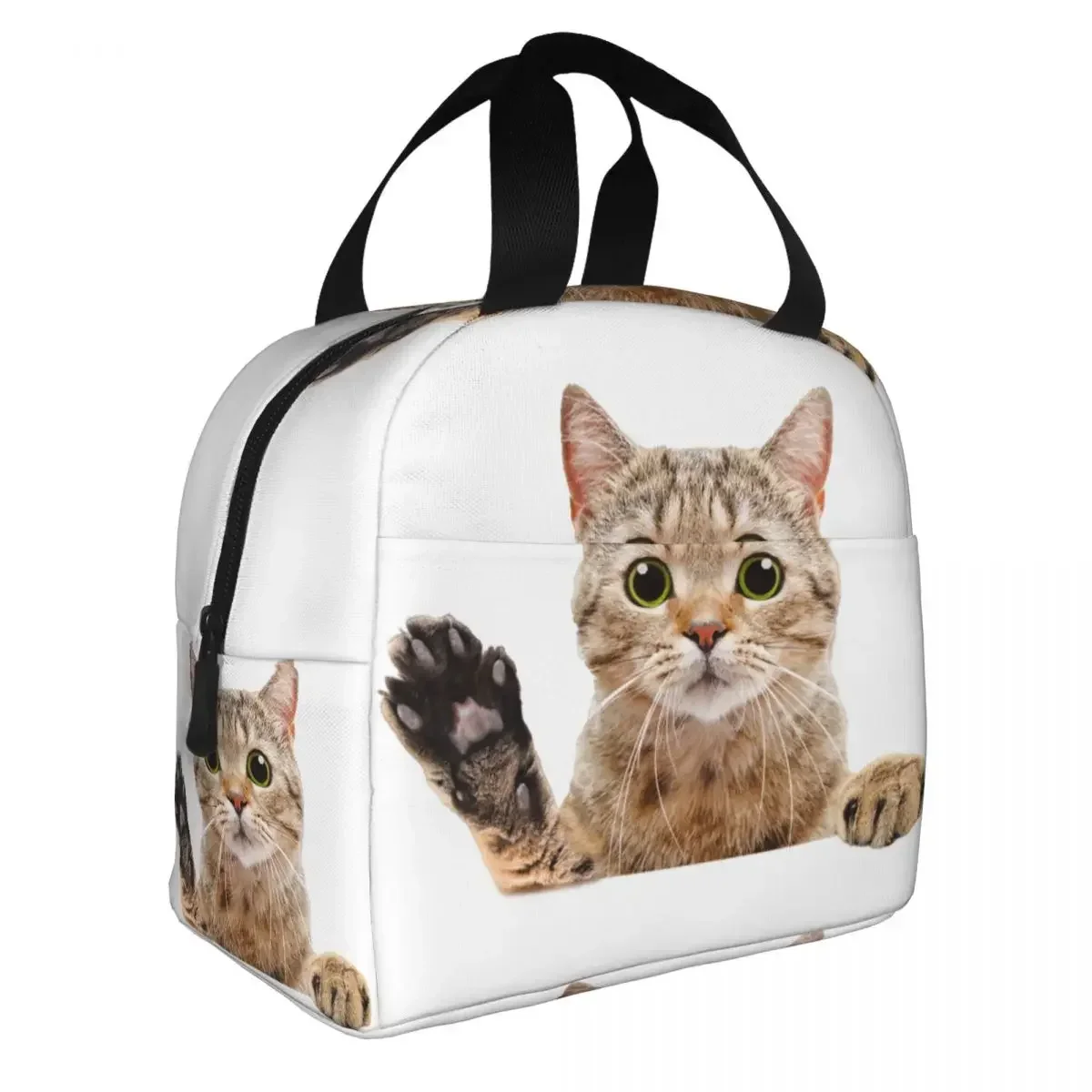 Cute Scottish Cat Peeking Lunch Bag Leakproof Picnic Insulated Warm Cooler Thermal Lunch Box For Women Kids Tote Container