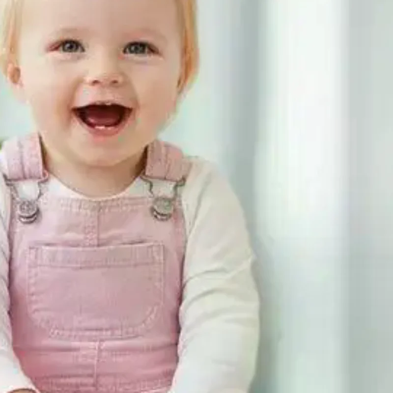 لعبة خنازير كهربائية مقلدة من القطيفة الواقعية يمكن المشي على النباح ألعاب الحيوانات الأليفة الإلكترونية هدايا لطيفة للأطفال #1