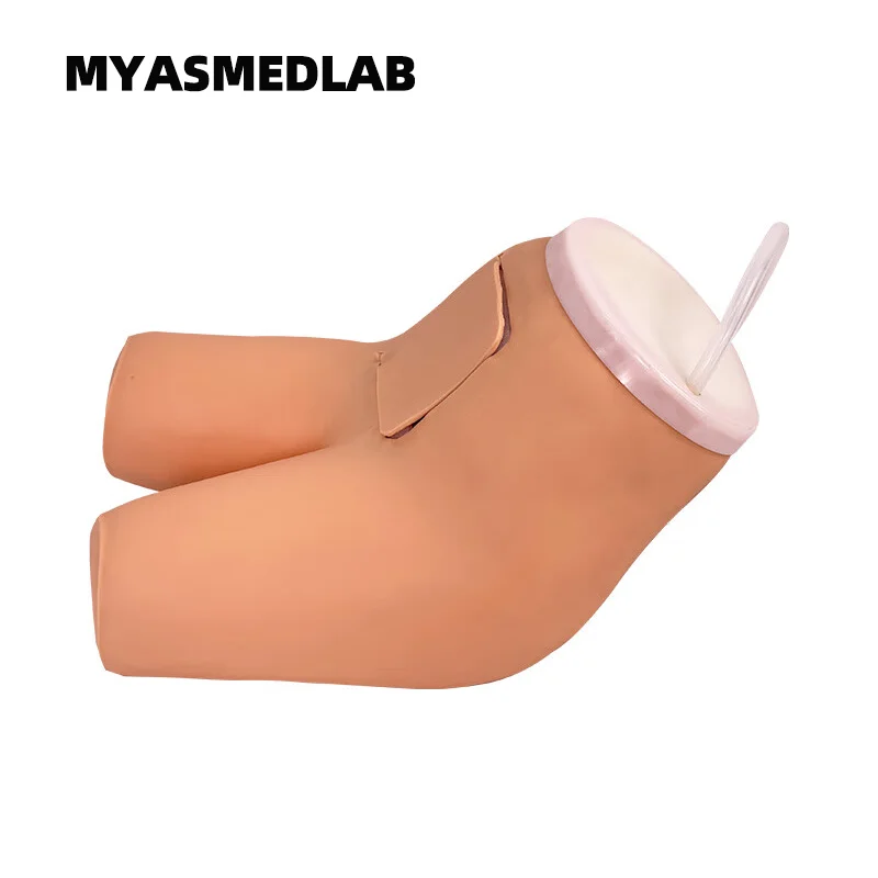 Enema and Assisted Defecation Training Model Medical Enema and Defecation Teaching Model for Human Body