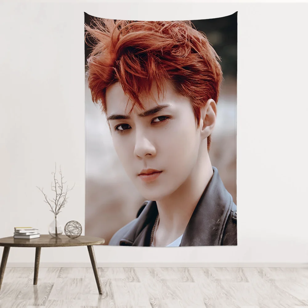 1 قطعة Kpop Exo Oh Se Hun Sehun نسيج غرفة ديكور قماش صوفي حفلة معلقة خلفية غرفة ديكور غرفة الطفل